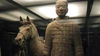 Terra Cotta Warriors Horses and Museum